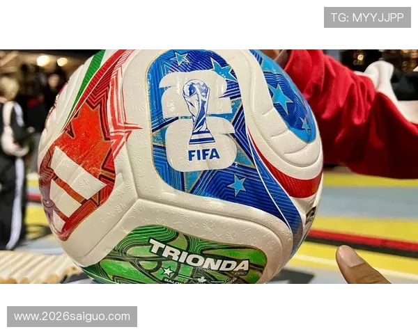 2024年世界杯官网中文版官方平台详细介绍与使用指南