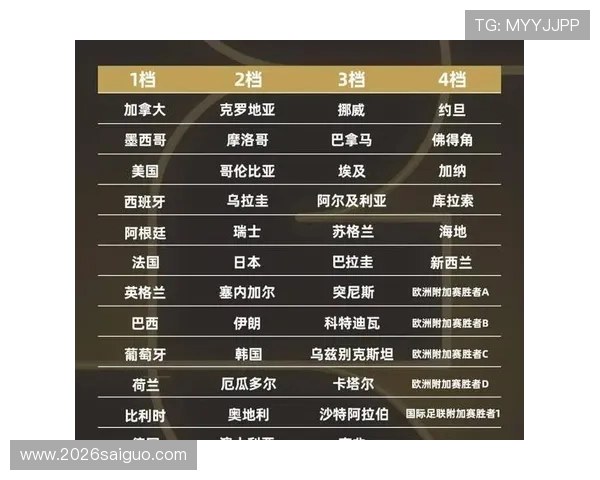 2026年世界杯举办国家的选择过程、申办情况及未来发展趋势