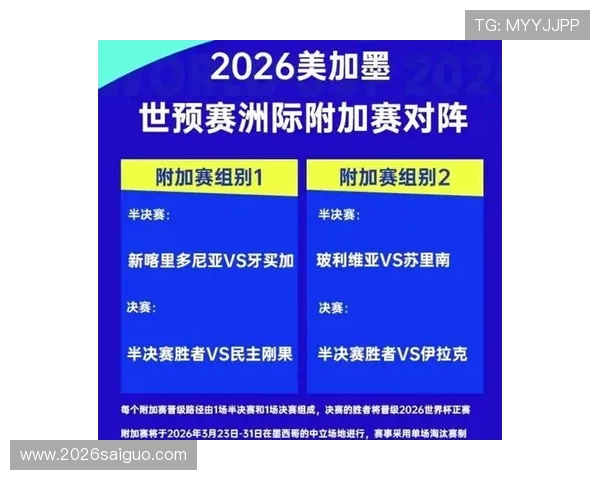 2026年世界杯用球的价格定位及其对全球市场的影响分析