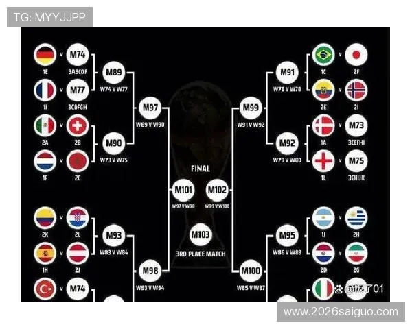 2026年世界杯举办地选择过程中的关键因素分析以及对赛事组织的影响