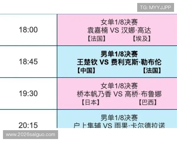 欧洲世界杯预选赛积分榜最新排名分析，揭示晋级形势变化与关键战役影响因素