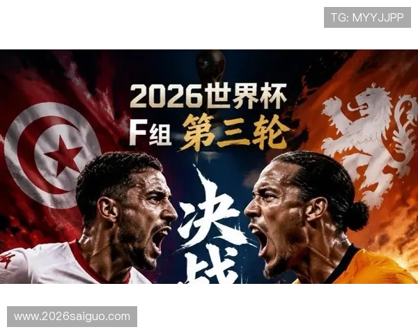 2026年世界杯前突尼斯与荷兰国家队友谊赛详细比赛记录与赛况分析